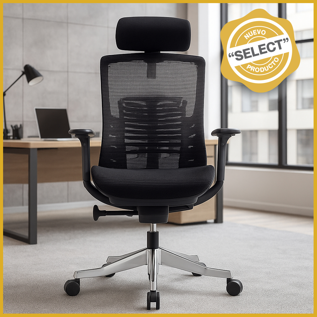 1281 Silla ejecutiva
