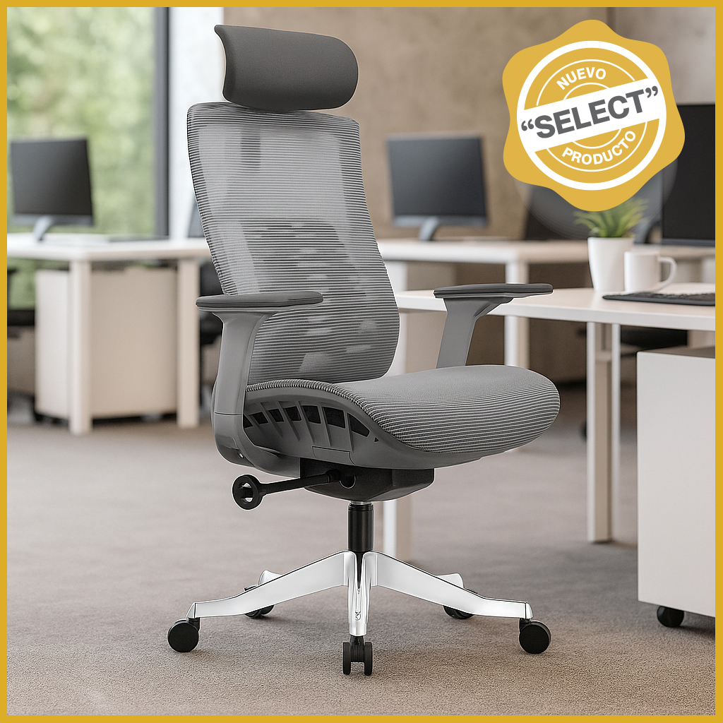 1282 Silla ejecutiva