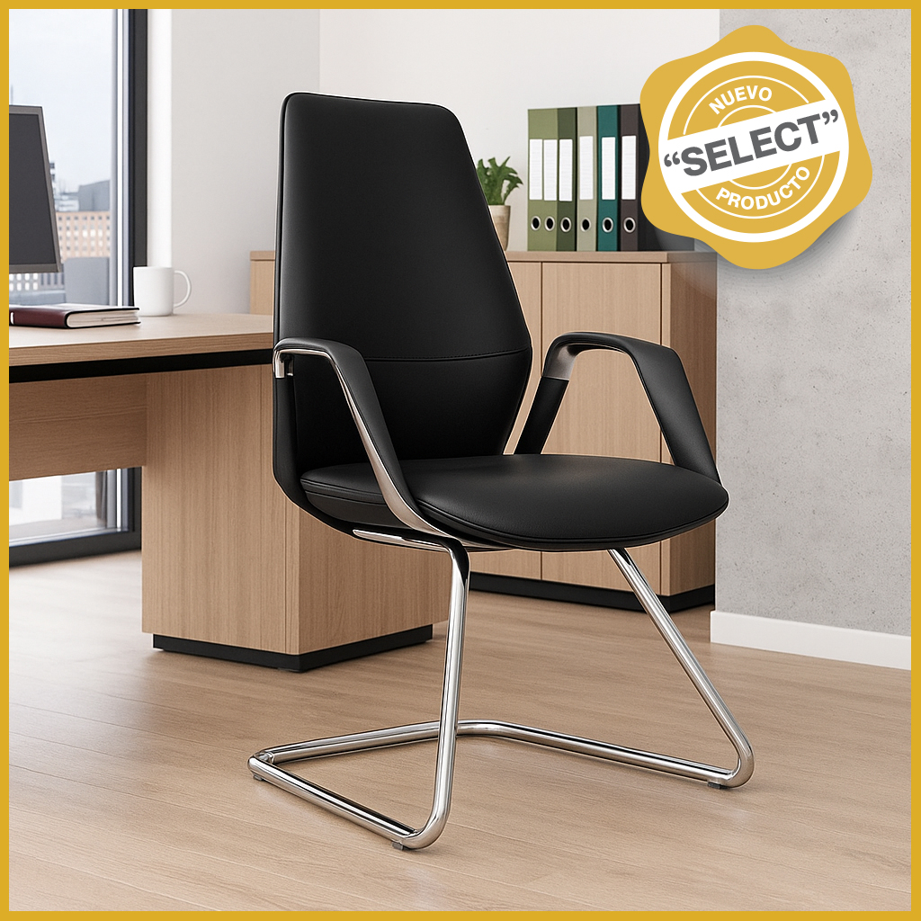 1289 Silla de visita