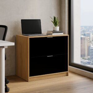 Archivero Horizontal Fijo con 2 Gavetas