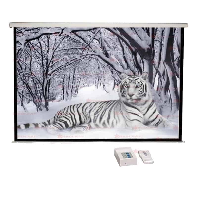 Pantalla eléctrica con control remoto Redleaf PE74131C 135 pulgadas