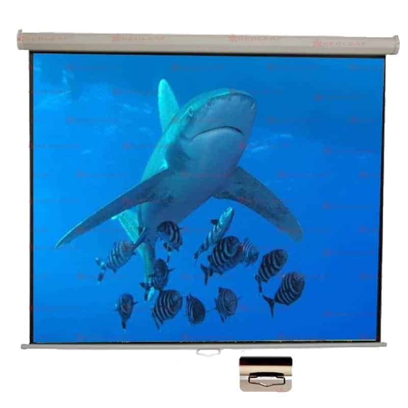 Pantalla manual Redleaf PP6060 de 60x60 con superficie de vinil blanco mate